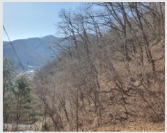  2025Ÿ��70521 ��� ���� û��� ȣ���� ��132-72      ����(�Ӿ�)���