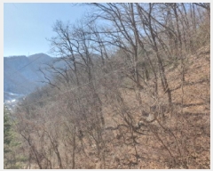  2025Ÿ��70521 ��� ���� û��� ȣ���� ��132-72      ����(�Ӿ�)���