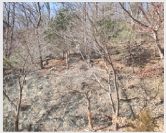  2025Ÿ��70521 ��� ���� û��� ȣ���� ��132-72      ����(�Ӿ�)���