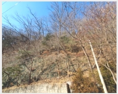  2025Ÿ��70521 ��� ���� û��� ȣ���� ��132-72      ����(�Ӿ�)���