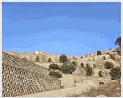  2025Ÿ��71320 ��� ���� ���Ǹ� ȸ� ��12-47      ����(�Ӿ�)���