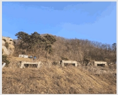  2025Ÿ��71320 ��� ���� ���Ǹ� ȸ� ��12-47      ����(�Ӿ�)���