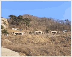  2025Ÿ��71320 ��� ���� ���Ǹ� ȸ� ��12-47      ����(�Ӿ�)���