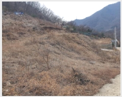  2025Ÿ��71320 ��� ���� ���Ǹ� ȸ� ��12-47      ����(�Ӿ�)���