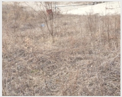  2025Ÿ��71320 ��� ���� ���Ǹ� ȸ� ��12-47      ����(�Ӿ�)���