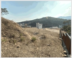  2025Ÿ��71404  �Ӿ߰��