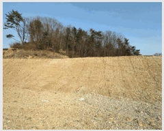  2025Ÿ��71404  �Ӿ߰��