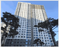  2025Ÿ��4579 ��� �����ֽ� �ٻ굿 6163 �ٻ� Ǫ������ 6505�� 25��2503ȣ   ����Ʈ���