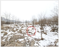  2025Ÿ��70163  ����