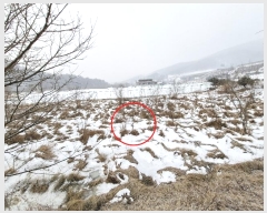  2025Ÿ��70163  ����