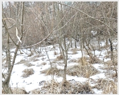  2025Ÿ��70163  ����