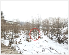  2025Ÿ��70163  ����