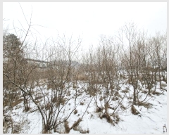  2025Ÿ��70163  ����