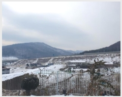  2025Ÿ��70163  ����