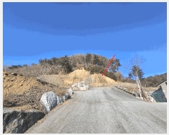  2025Ÿ��70842 ��� ���� ������ �� ��46-5      ����(�Ӿ�)���