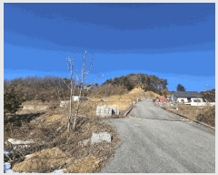  2025Ÿ��70842 ��� ���� ������ �� ��46-5      ����(�Ӿ�)���