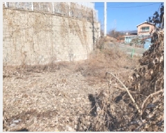  2025Ÿ��71043 ��� �����ֽ� ������ ��õ�� 109-2      ����(����)���