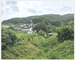  2025Ÿ��71499 ��� �����ֽ� ������ ������ 561-17      ����(�Ӿ�)���