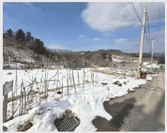  2025Ÿ171   Ǹ âǸ 253-1      (1)