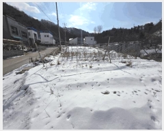  2025Ÿ171   Ǹ âǸ 253-1      (1)