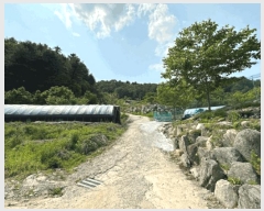  2025Ÿ��1730  �Ӿ߰��