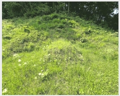  2025Ÿ��1730  �Ӿ߰��