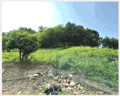  2025Ÿ��1730  �Ӿ߰��