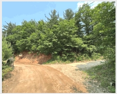  2025Ÿ��1730  �Ӿ߰��