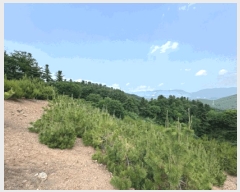  2025Ÿ��1730  �Ӿ߰��