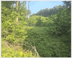  2025Ÿ��1938 ��� ���� ��� ���ʸ� ��116      ����(�Ӿ�)���