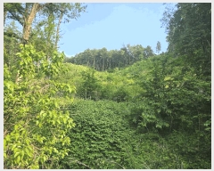  2025Ÿ��1938 ��� ���� ��� ���ʸ� ��116      ����(�Ӿ�)���