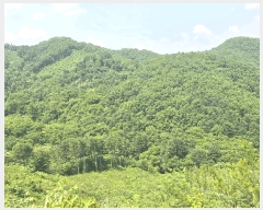  2025Ÿ��1938 ��� ���� ��� ���ʸ� ��116      ����(�Ӿ�)���