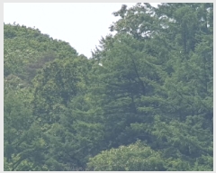  2025Ÿ��1938 ��� ���� ��� ���ʸ� ��116      ����(�Ӿ�)���