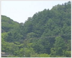  2025Ÿ��1938 ��� ���� ��� ���ʸ� ��116      ����(�Ӿ�)���