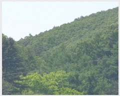  2025Ÿ��1938 ��� ���� ��� ���ʸ� ��116      ����(�Ӿ�)���