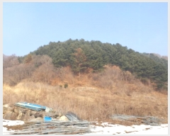  2025Ÿ��70545  �����