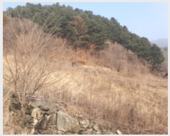  2025Ÿ��70545  �����