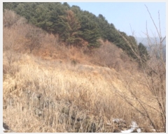  2025Ÿ��70545  �����