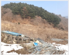  2025Ÿ��70545  �����