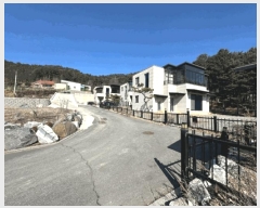  2025Ÿ71229  ֽ  ܹ渮 142-13 1     ð