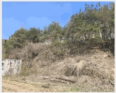  2025Ÿ��71471  �Ӿ߰��