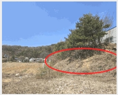  2025Ÿ��71471  �Ӿ߰��