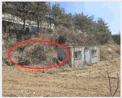  2025Ÿ��71471  �Ӿ߰��