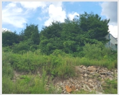  2025Ÿ��71471  �Ӿ߰��