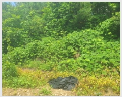  2025Ÿ��71471  �Ӿ߰��