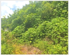  2025Ÿ��71471  �Ӿ߰��