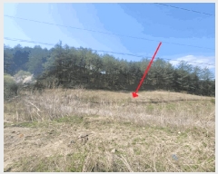  2025Ÿ��71544 ��� ���� ������ ���ϸ� 17-2      ����(��)���