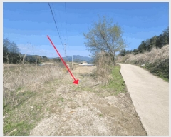  2025Ÿ��71544  ����Ʈ���