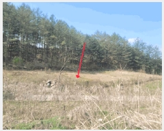  2025Ÿ��71544  ����Ʈ���