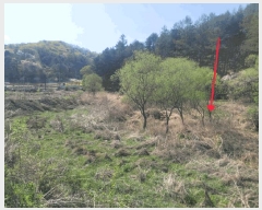  2025Ÿ��71544  ����Ʈ���